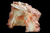 Natural, Red Quartz Crystal Cluster - Morocco #80655-3